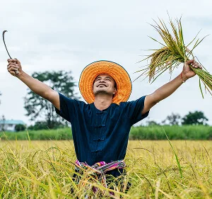 Agri-Tech and Innovation  Updates - C7娱乐APP