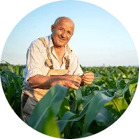 Revolutionizing the Way  Food is Grown - C7娱乐APP