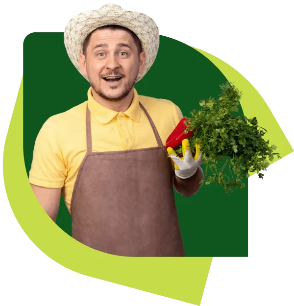Cultivating Growth The
                                      - C7娱乐APP