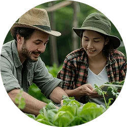 Revolutionizing  the Way Food - C7娱乐APP