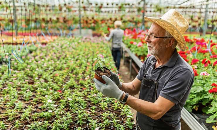 Modern Agriculture - C7娱乐APP