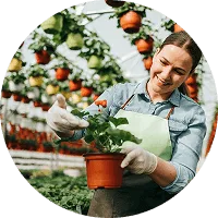 Organic Farming - C7娱乐APP