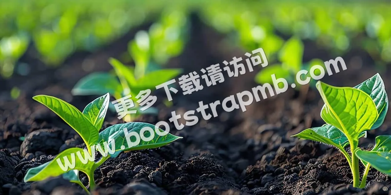 Location - C7娱乐APP