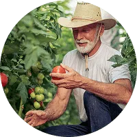 Organic Farming - C7娱乐APP