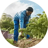 Organic Farming - C7娱乐APP